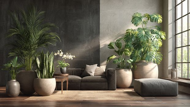 11 Top Living Room Decor Ideas to Transform Your Space (Modern, Stylish & Practical) 6 Natural Refreshment for Your Living Room